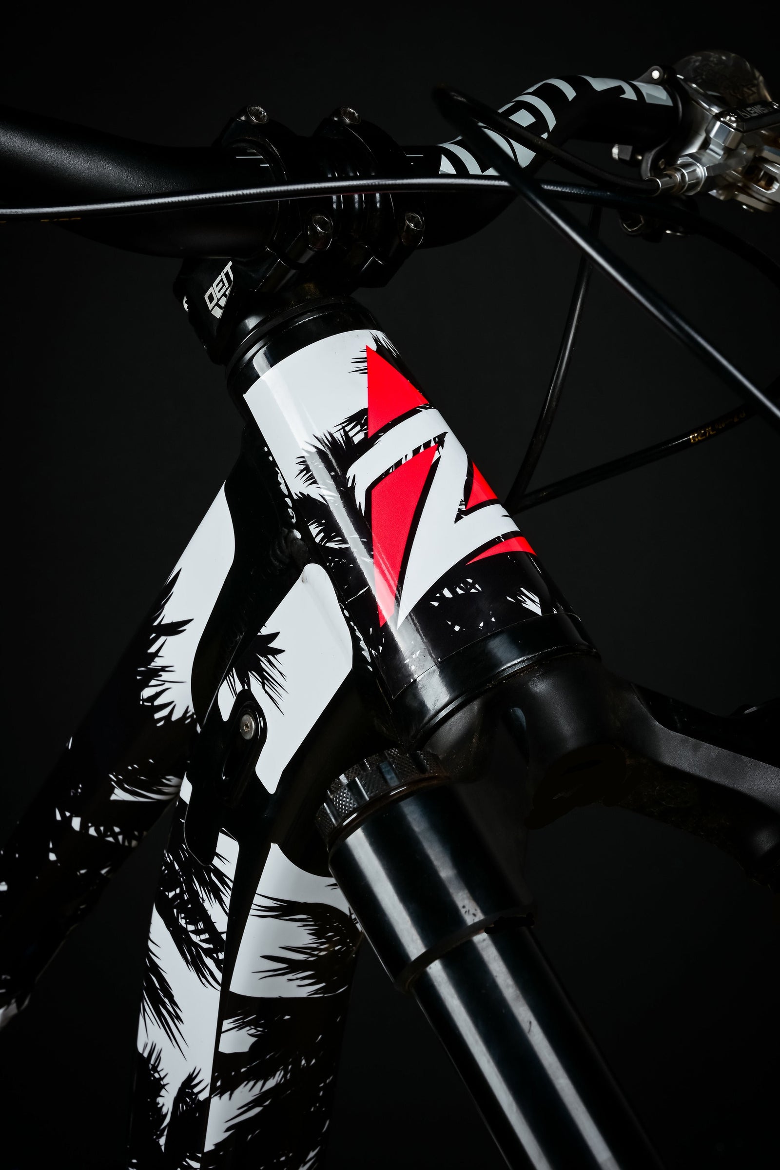 complete_bike_head_tube.jpg