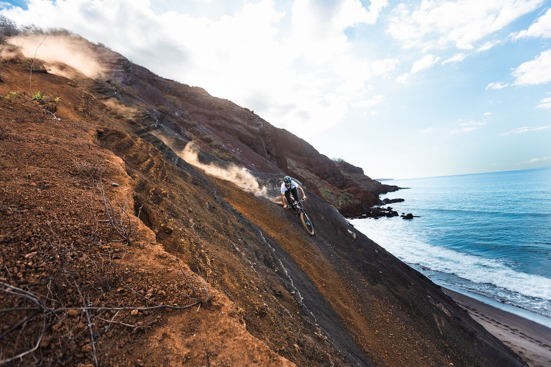 Horst-Link Superiority: Why Zink Bikes Simply Work