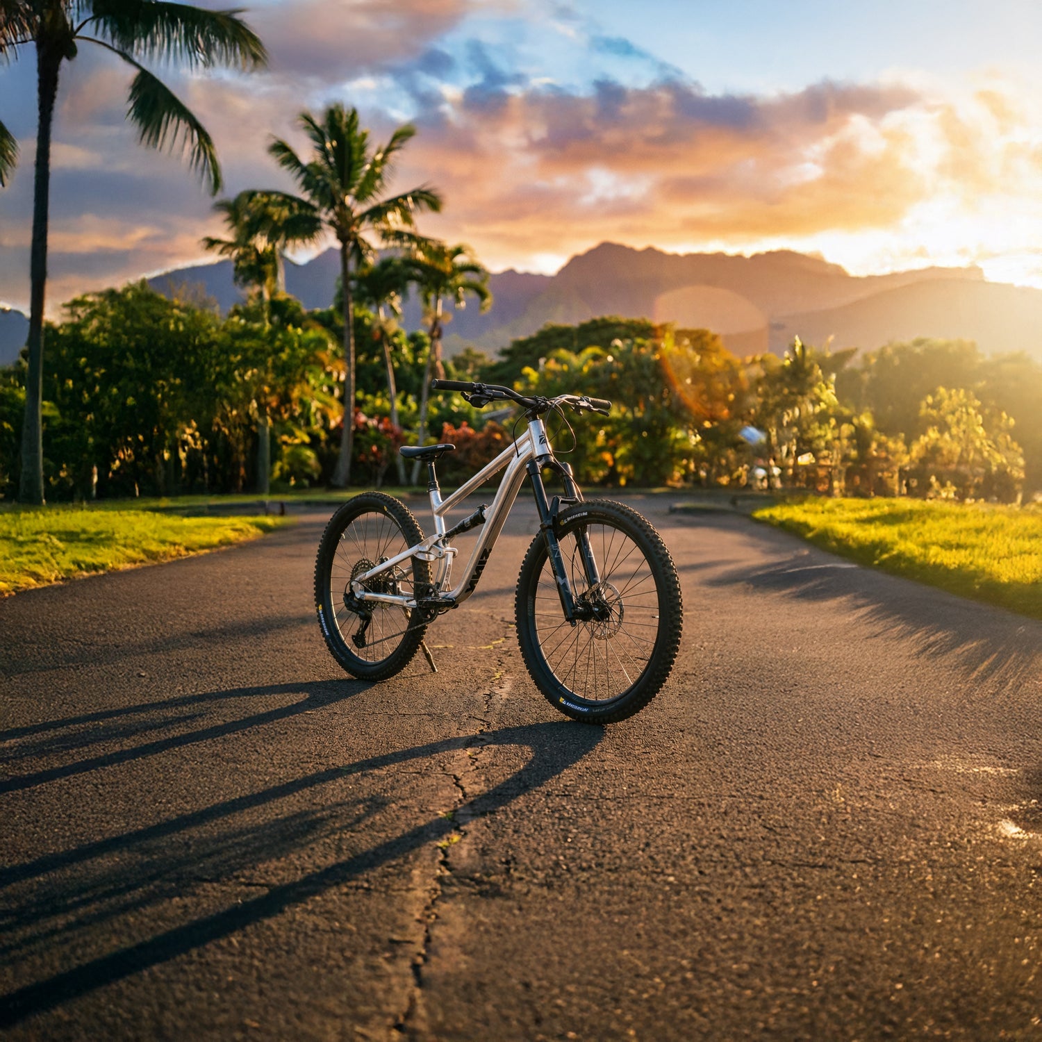 Zink Bikes Economical build